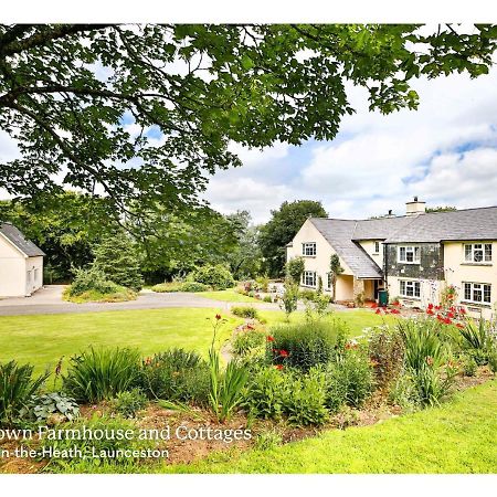 Swallows Cottage Launceston Exterior foto